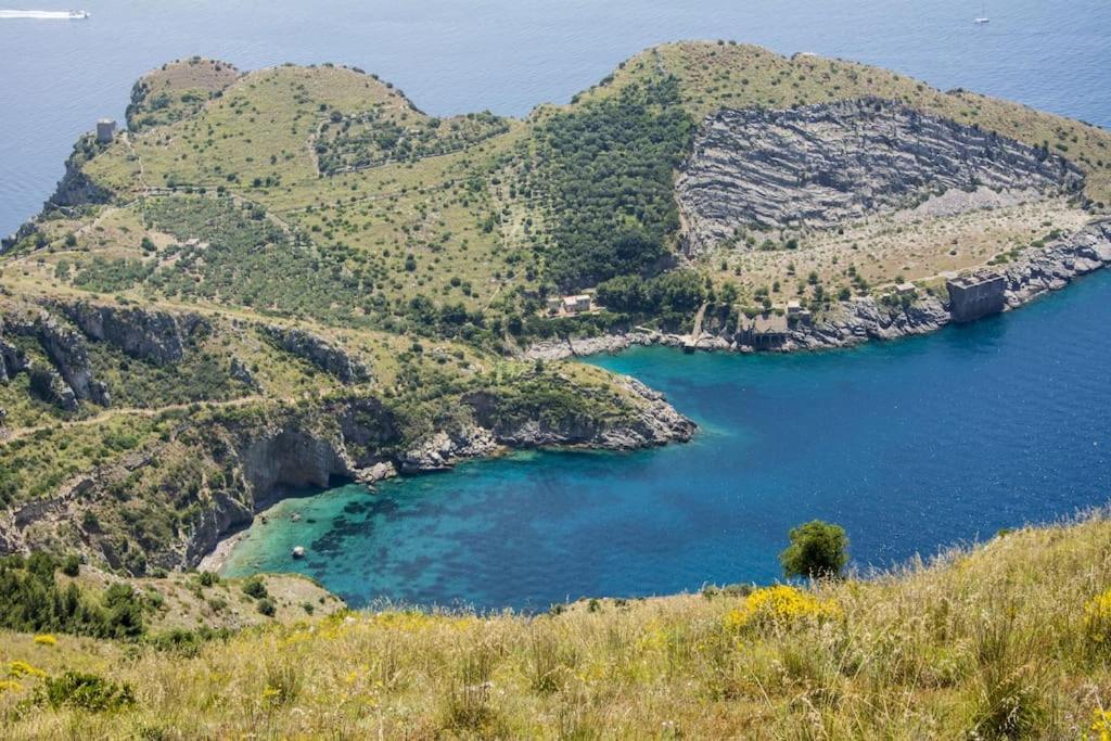 Maison Marianna Daire Sorrento Dış mekan fotoğraf